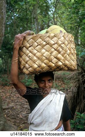 india, people, 5226, person, fitness, woman View Large Photo Image Stock Photography - india, people, 5226, person, fitness, woman. Fotosearch