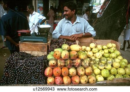 india, people, 5311, person, fruit, food View Large Photo Image Stock Image - india, people, 5311, person, fruit, food. Fotosearch