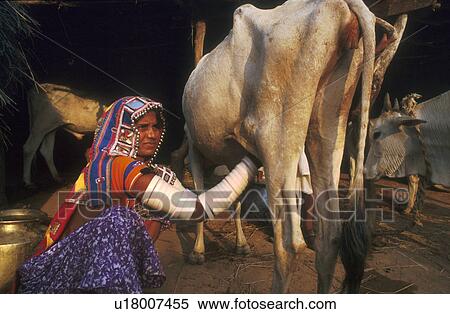 india, people, 5335, person, pattern, woman View Large Photo Image Stock Photography - india, people, 5335, person, pattern, woman. Fotosearch