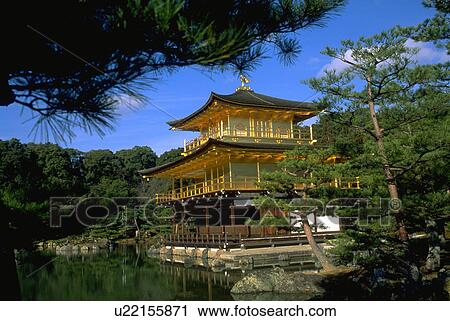 kinkakuji, tree, pattern, house, frame, water View Large Photo Image Stock Image - kinkakuji, tree, pattern, house, frame, water. Fotosearch