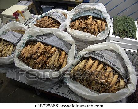 korea, people, person, nature, pattern, food View Large Photo Image Stock Photograph - korea, people, person, nature, pattern, food. Fotosearch