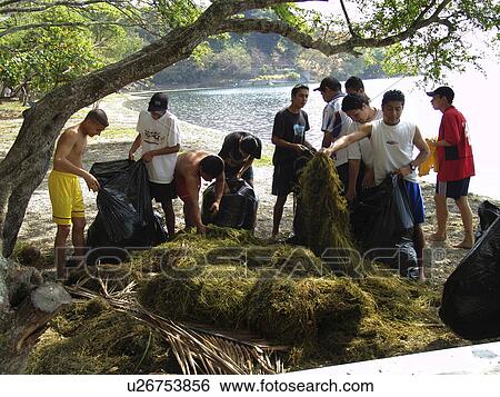 lake, person, cleaning, team, salvador, people View Large Photo Image Stock Photograph - lake, person, cleaning, team, salvador, people. Fotosearch