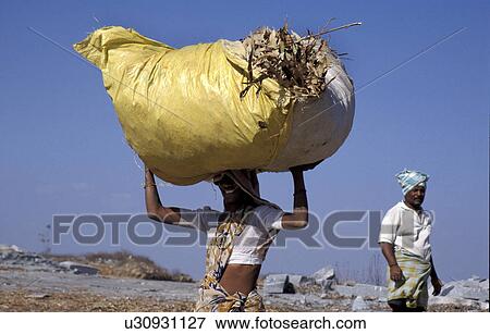 large, people, carrying, india, person, woman View Large Photo Image Stock Photo - large, people, carrying, india, person, woman. Fotosearch