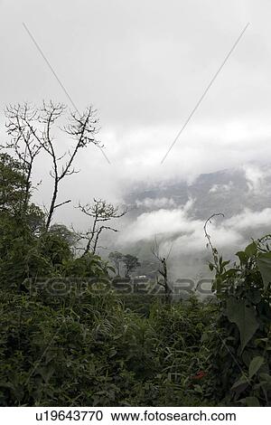 latin, person, lara, landscape, venezuela, people View Large Photo Image Stock Image - latin, person, lara, landscape, venezuela, people. Fotosearch