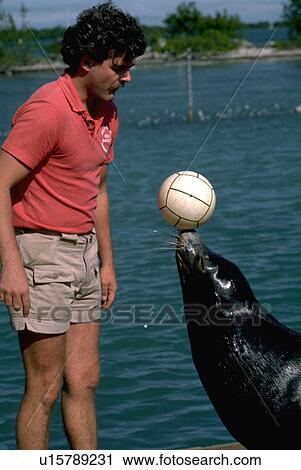 Stock Image - lion, woman, sea, trainer, female, young. Fotosearch