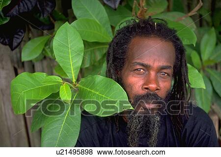 male, dreadlocks, rasta, jamaican View Large Photo Image Stock Photo - male, dreadlocks, rasta, jamaican. Fotosearch
