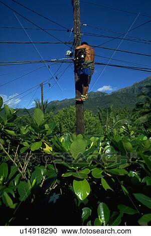 male, pole, telephone, fixing, people View Large Photo Image Stock Image - male, pole, telephone, fixing, people. Fotosearch