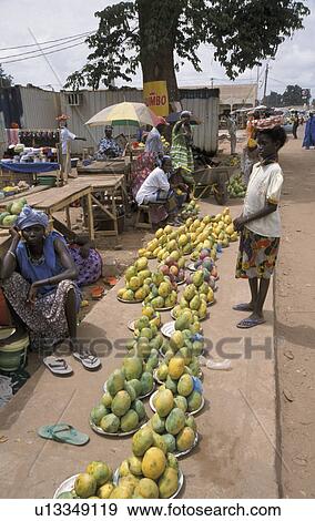 mangoes, person, market, birkama, gambia, people View Large Photo Image Stock Photo - mangoes, person, market, birkama, gambia, people. Fotosearch