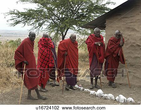 moita, person, men, masai, tanzania, people View Large Photo Image Stock Image - moita, person, men, masai, tanzania, people. Fotosearch