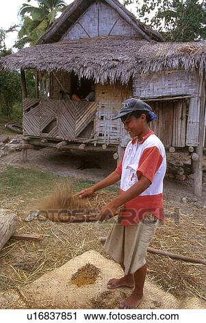 Stock Image - mong, philippines, cleaning, female, woman, 3647. Fotosearch