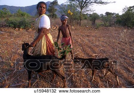 mother, person, farming, india, 5275, people View Large Photo Image Stock Image - mother, person, farming, india, 5275, people. Fotosearch