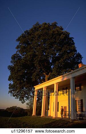 mount, tree, washington, george, home, woman View Large Photo Image Stock Photo - mount, tree, washington, george, home, woman. Fotosearch