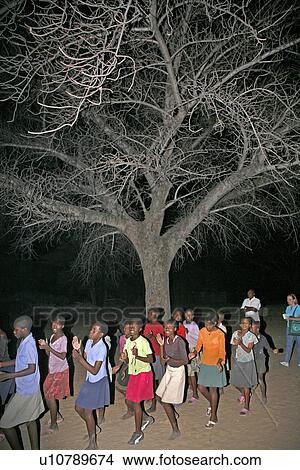 Picture - namibia, tree, person, border, people, party. Fotosearch