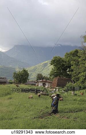 northeast, person, same, landscape, tanzania, people View Large Photo Image Stock Image - northeast, person, same, landscape, tanzania, people. Fotosearch