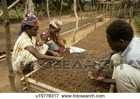 Stock Photo - nursery, person, reforestation, burundi, 4252, people. Fotosearch