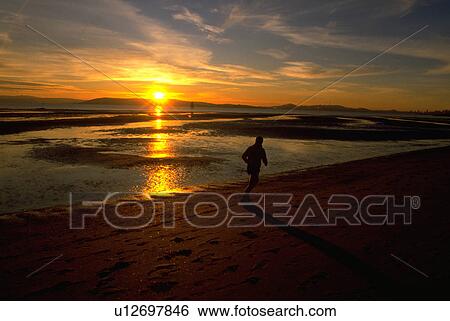 oakland, people, running, sun, person, water View Large Photo Image Stock Photograph - oakland, people, running, sun, person, water. Fotosearch