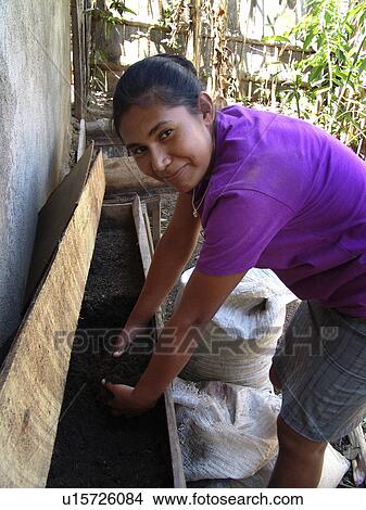 Picture - organic, people, preparing, nicaragua, person, woman. Fotosearch