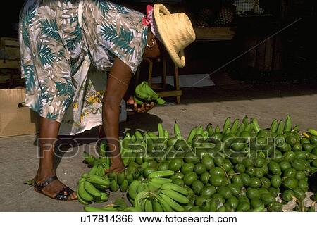 out, food, picking, female, people, woman View Large Photo Image Stock Photograph - out, food, picking, female, people, woman. Fotosearch