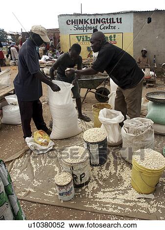 outdoor, person, corn, selling, zambia, people View Large Photo Image Stock Image - outdoor, person, corn, selling, zambia, people. Fotosearch