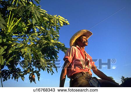 Stock Image - pantanerio, watching, rides, cowboy, horse. Fotosearch