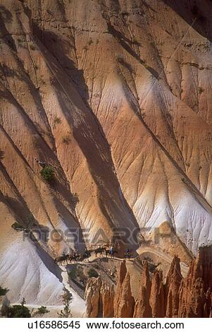 park, riding, national, canyon, bryce, horseback View Large Photo Image Stock Photography - park, riding, national, canyon, bryce, horseback. Fotosearch