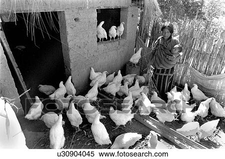 Stock Photography - people, black, 050, person, woman. Fotosearch