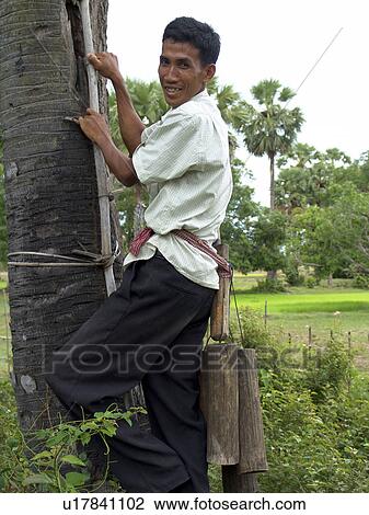 people, climbing, cambodia, person, tree View Large Photo Image Stock Image - people, climbing, cambodia, person, tree. Fotosearch