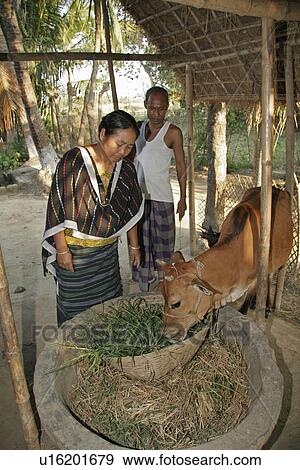 people, male, bangladesh, person, woman View Large Photo Image Stock Photo - people, male, bangladesh, person, woman. Fotosearch