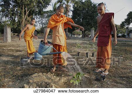 Stock Photo - people, than, cambodia, person, tree. Fotosearch