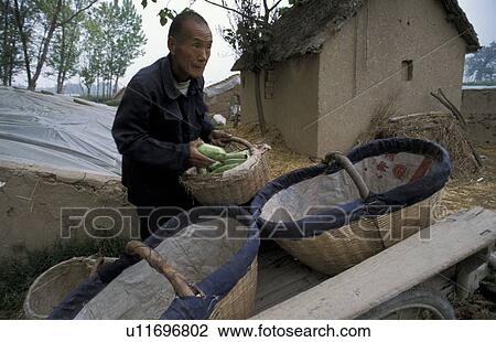 person, dang, china, 7092, people View Large Photo Image Stock Image - person, dang, china, 7092, people. Fotosearch