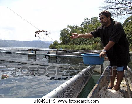person, farm, salvador, fish, people View Large Photo Image Stock Photo - person, farm, salvador, fish, people. Fotosearch