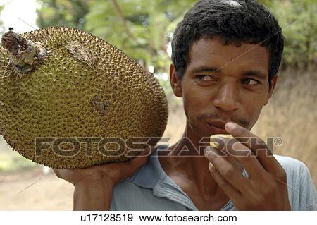 person, jackfruit, male, brazil, people View Large Photo Image Stock Photo - person, jackfruit, male, brazil, people. Fotosearch