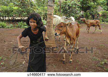 person, leading, won, cambodia, people View Large Photo Image Stock Photo - person, leading, won, cambodia, people. Fotosearch
