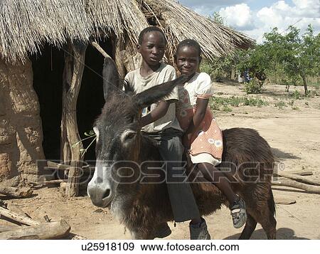Stock Photo - person, mabo, constance, zambia, people. Fotosearch