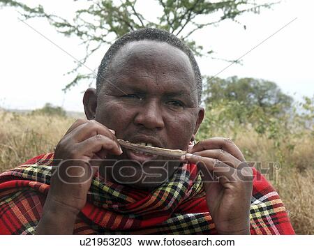 person, masai, tanzania, people View Large Photo Image Stock Image - person, masai, tanzania, people. Fotosearch