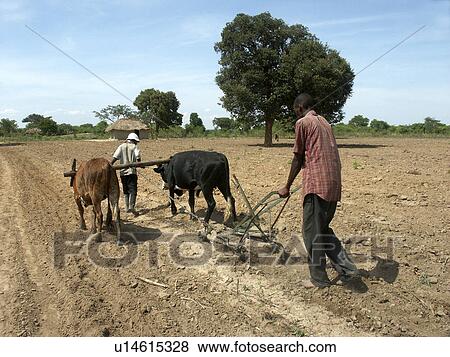 Stock Photo - person, ripper, mugoye, zambia, people. Fotosearch