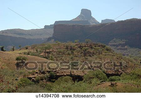 person, tigray, ghiraltar, ethiopia, people View Large Photo Image Stock Photo - person, tigray, ghiraltar, ethiopia, people. Fotosearch