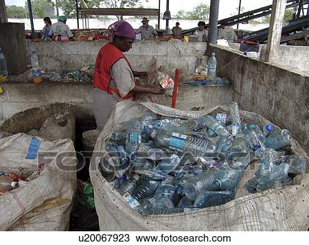 picking, person, scavengers, registered, brazil, people View Large Photo Image Stock Image - picking, person, scavengers, registered, brazil, people. Fotosearch
