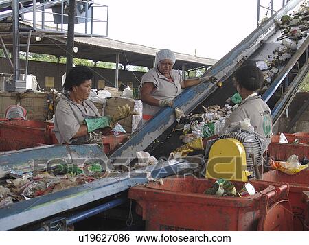 picking, person, scavengers, registered, brazil, people View Large Photo Image Stock Photograph - picking, person, scavengers, registered, brazil, people. Fotosearch