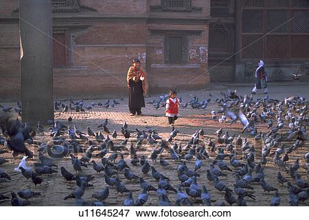 pigeons, kid, playing, mother, nepalese, child View Large Photo Image Stock Photo - pigeons, kid, playing, mother, nepalese, child. Fotosearch