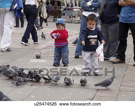 pigeons, person, feeding, kids, children, people View Large Photo Image Stock Photograph - pigeons, person, feeding, kids, children, people. Fotosearch