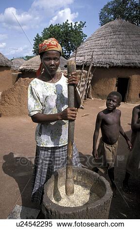 pounding, people, ghana, 7674, person, woman View Large Photo Image Stock Photography - pounding, people, ghana, 7674, person, woman. Fotosearch