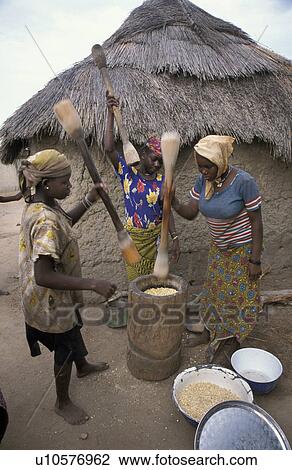 pounding, person, benin, 7583, women, people View Large Photo Image Stock Image - pounding, person, benin, 7583, women, people. Fotosearch