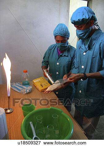 preparing, coffee, technicians, nicaragua, person, people View Large Photo Image Stock Photo - preparing, coffee, technicians, nicaragua, person, people. Fotosearch