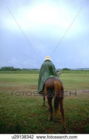 raincoat, worn, horse View Large Photo Image Stock Image - raincoat, worn, horse. Fotosearch