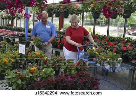 Picture - retail, Richardson, commerce, nursery, Calloway's, Texas. Fotosearch