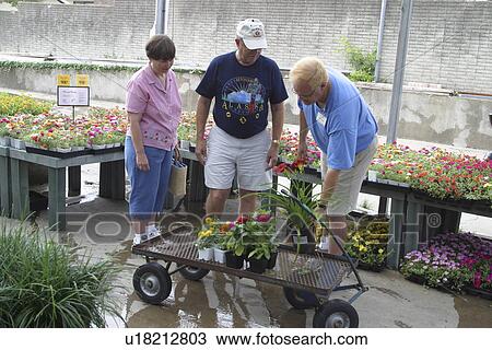 Stock Image - retail, Richardson, commerce, nursery, Calloway's, Texas. Fotosearch