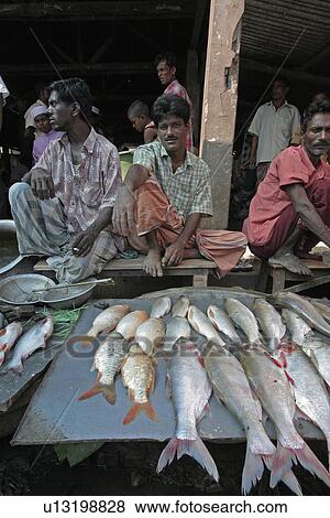 Stock Photo - sale, people, bangladesh, fish, person, food. Fotosearch