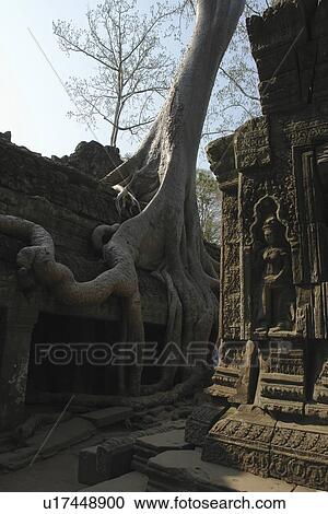 Stock Image - showing, people, scene, cambodia, person, tree. Fotosearch