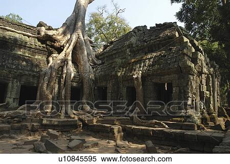 Stock Photography - showing, people, scene, cambodia, person, tree. Fotosearch